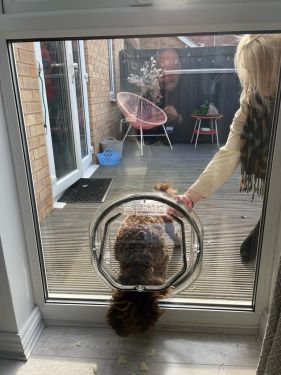 Cat & Dog Flap Installations In Nottingham & Derby&hellip;